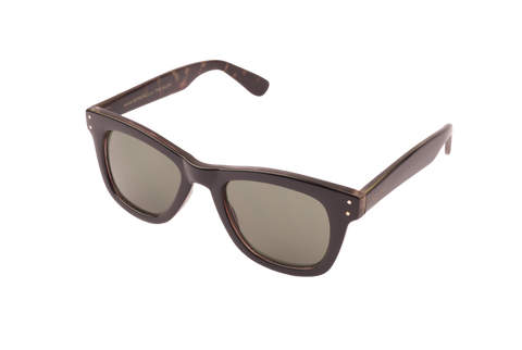 Allen Black Tortoise