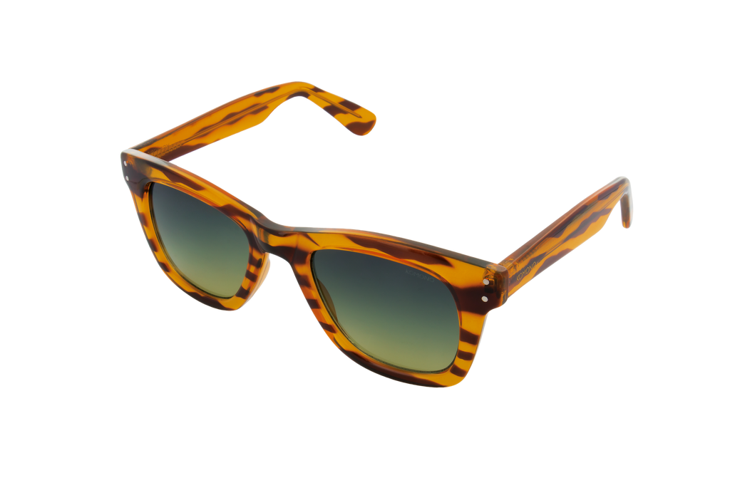 Allen Lined Tortoise