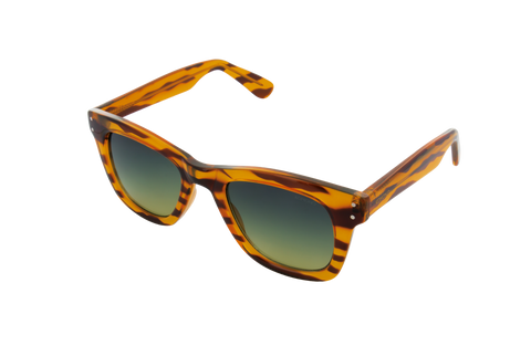 Allen Lined Tortoise