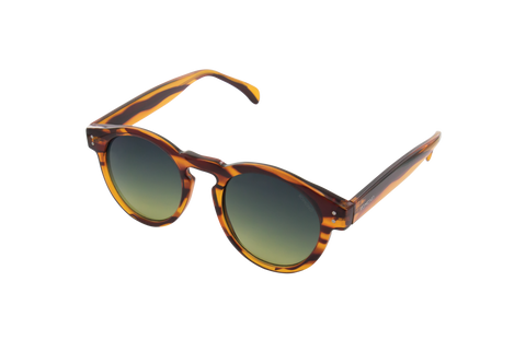 Clement Lined Tortoise