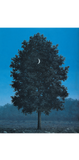 Magritte x Komono - Winston Sixteenth of September