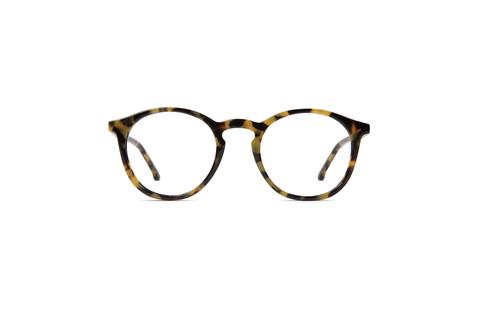 Martin Tortoise Demi