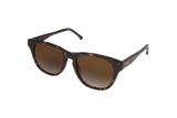 The Luca Acetate Tortoise